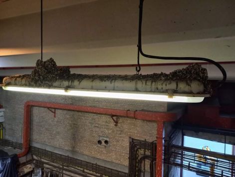 518302043_122110222814936081_3644504551341414535_n.jpg 518302043_122110222814936081_3644504551341414535_n.jpg